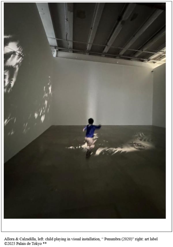Allora & Calzadilla, left: child playing in visual installation, “ Penumbra (2020)” right: art label ©2025 Palais de Tokyo **